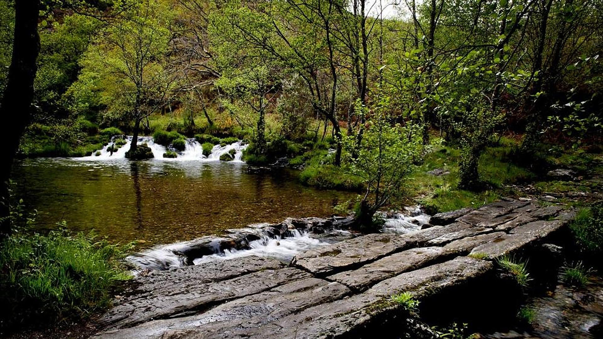 Pontevedra Town Looks Straight Out of The Lord of the Rings: Nature, Gastronomy and Historic Heritage