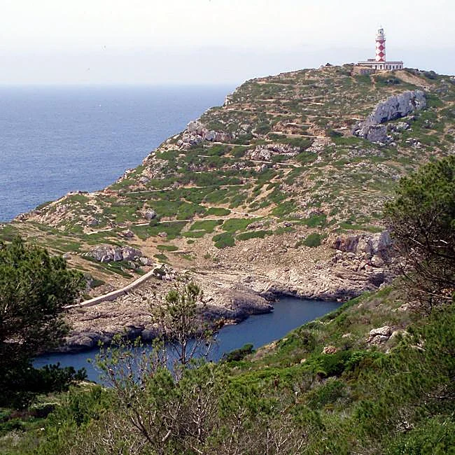 La isla de Cabrera, con el Faro de n'Ensiola al fondo.