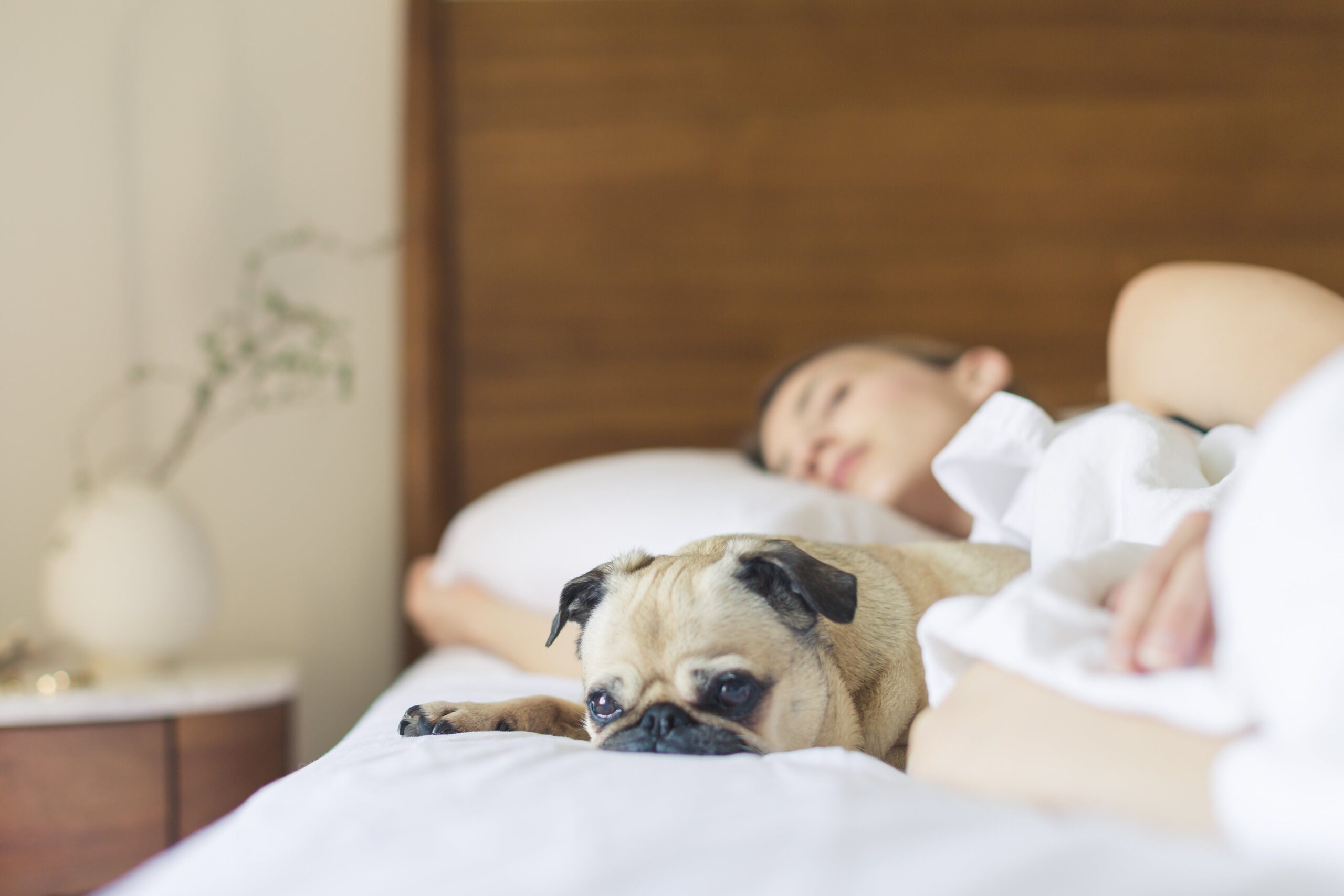 Snoring During Menopause: When to Worry