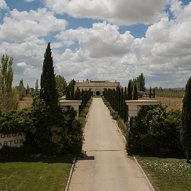 Bodegas Martúe, en Toledo, prepara su fiesta de la vendimia.
