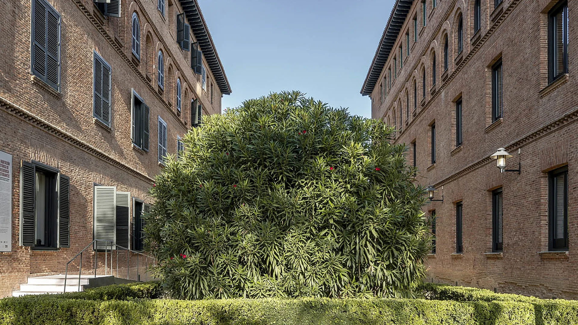Lorca’s Footprint, Juan Ramón’s Oleanders, and Dalí’s Putrefactions: All the Reasons to Visit the Legendary Residencia de Estudiantes