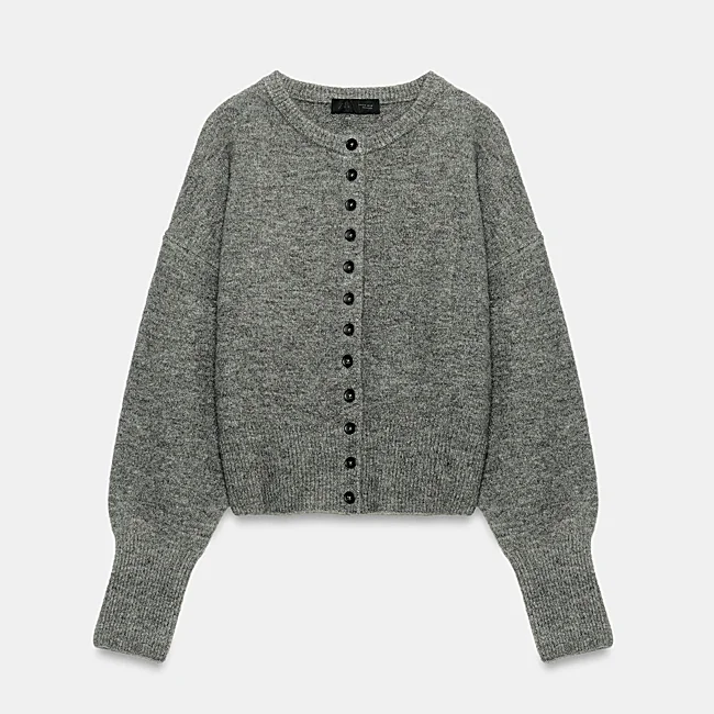 Gray Zara Jacket (27.95 euros)