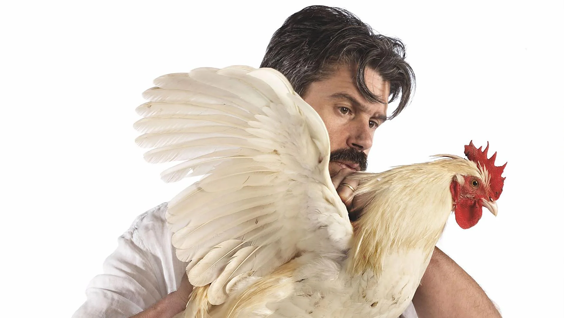 Cosmopolitan Chicken Project Arrives in Madrid: One of the Longest-Running Live Art Projects by Koen Vanmechelen